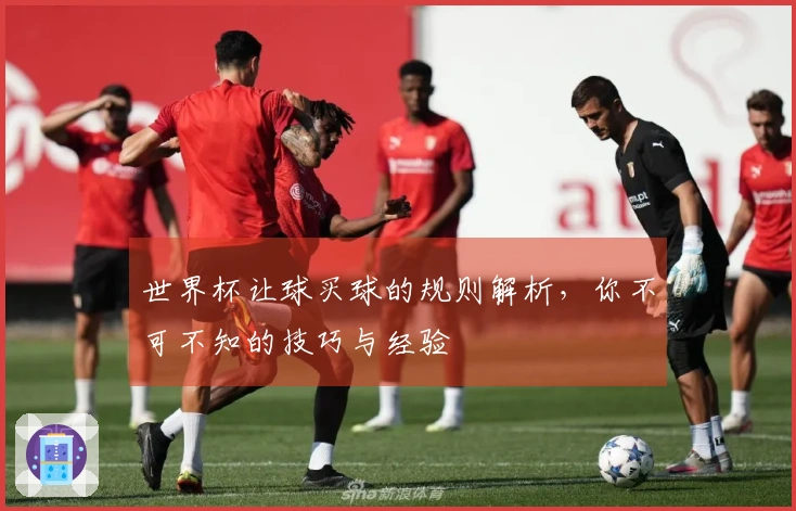 世界杯让球买球的规则解析，你不可不知的技巧与经验