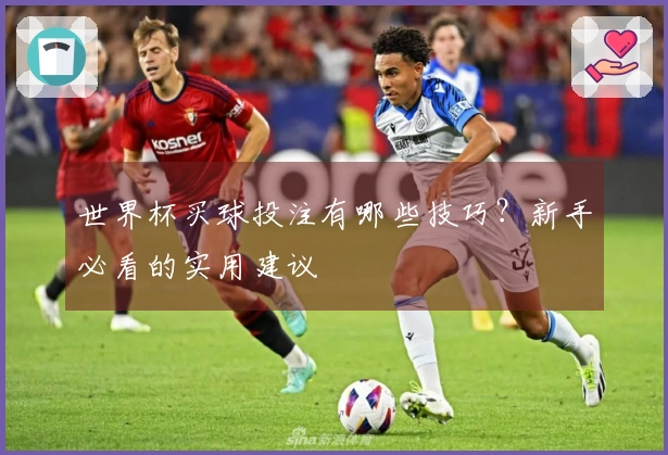 世界杯买球投注有哪些技巧？新手必看的实用建议