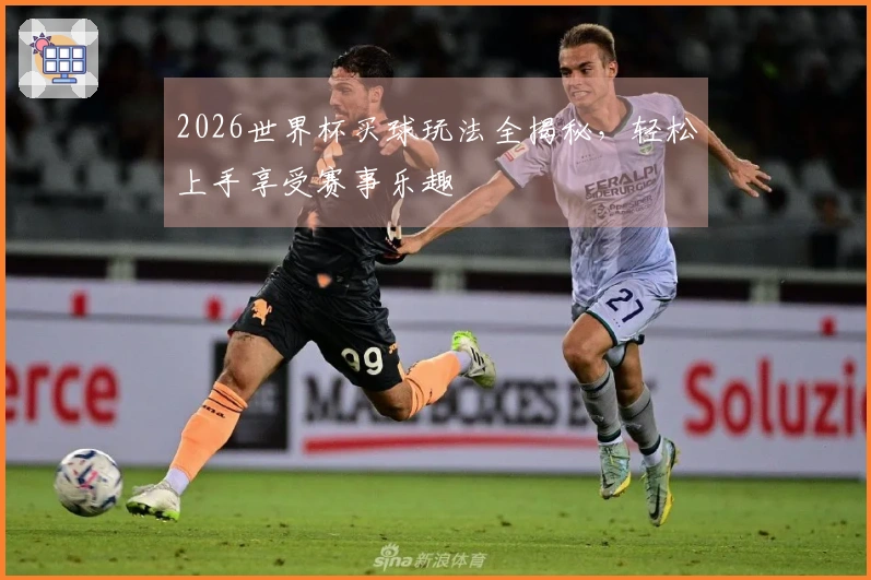 2026世界杯买球玩法全揭秘，轻松上手享受赛事乐趣