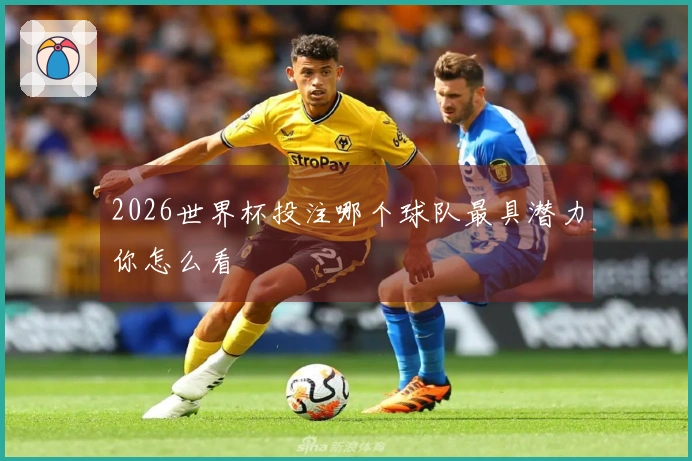 2026世界杯投注哪个球队最具潜力你怎么看